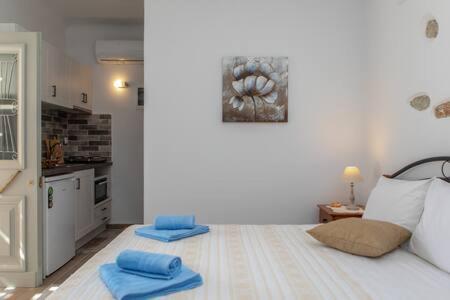 Vintage House Naxos