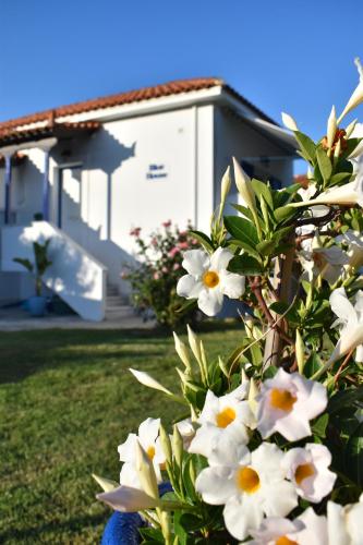  Blue Houses Apartments in Finikounda