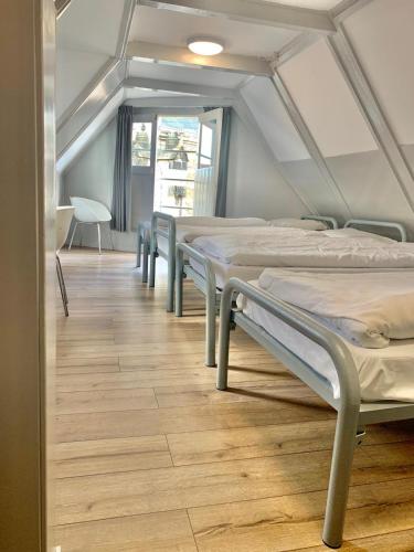 The White Tulip Hostel in Amsterdam
