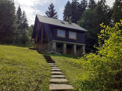 Chata FORESTINA - Accommodation - Vysné Ruzbachy