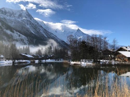 Studio au calme avec jardin et vue Mont-Blanc in ลา ฟราส