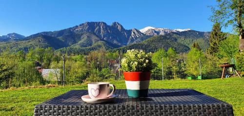 Pokoje Widokowe Szymaszkowa, Zakopane (fotografie 5)