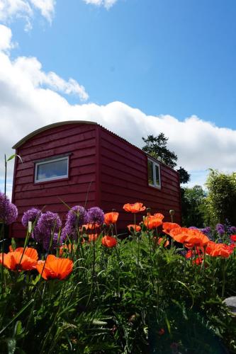 Ballyroe Accommodation