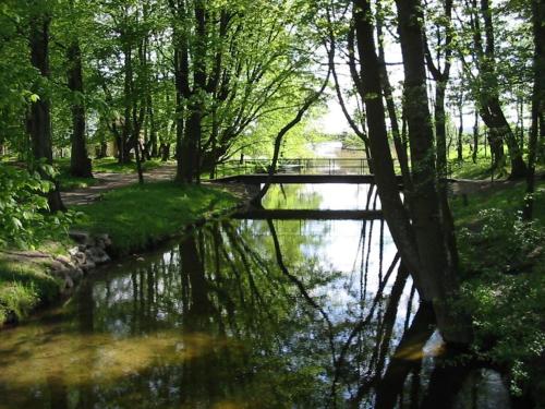 Domek nad jeziorem in Даброва