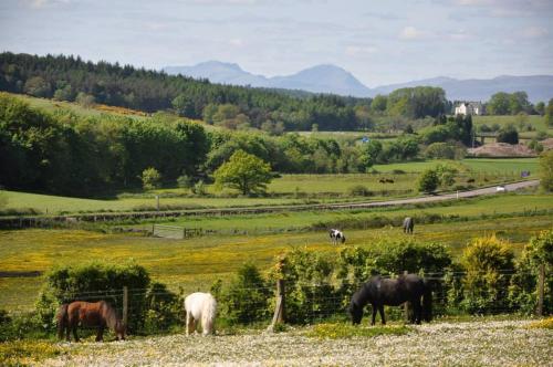 Wellsfield Farm Holiday Lodges