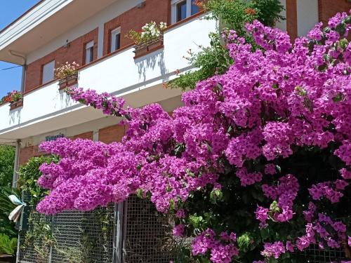  Big Sabaudia, Pension in Sabaudia bei Borgo Vodice