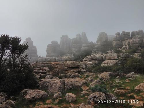 Coso Viejo - image 3