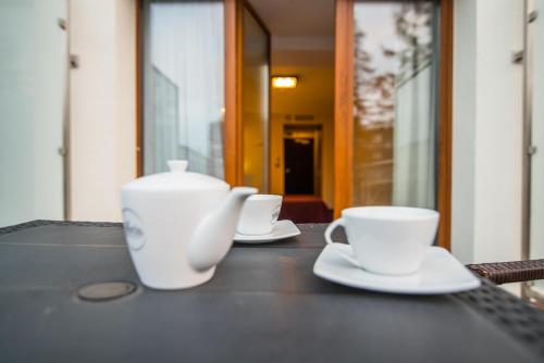 Primavera Jastrzębia Góra - image 6