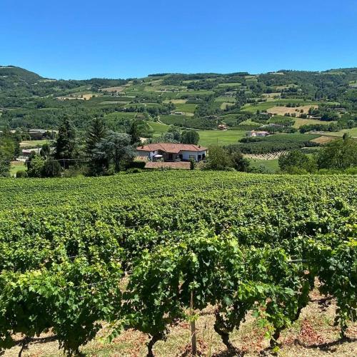 MAMOTA B&B chambre d'hôte Loazzolo