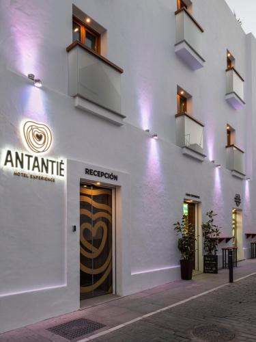 Hotel Antantie - image 10