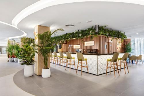Hotel Riu Concordia - image 8