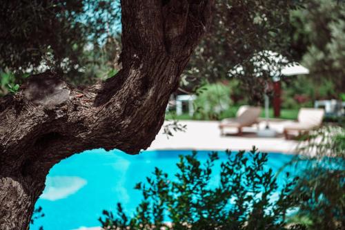 Amore Boutique Hotel In Mugla Turkey Reviews Prices Planet Of Hotels