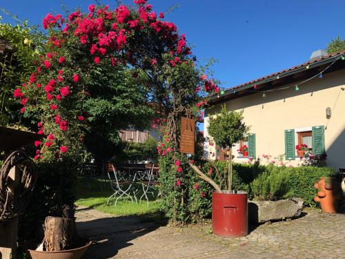 Landgasthof Zum Kirchenwirt 3