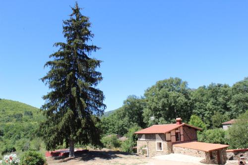  Alojamiento Turístico La alegría de la huerta in Cepeda