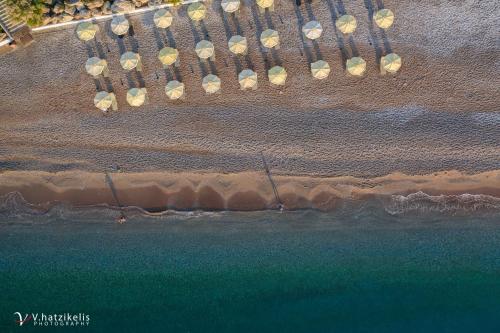Hotel Lutania Beach - main image