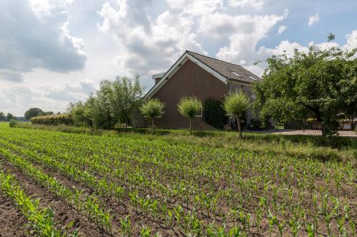 B&B De Nieuwe Warande