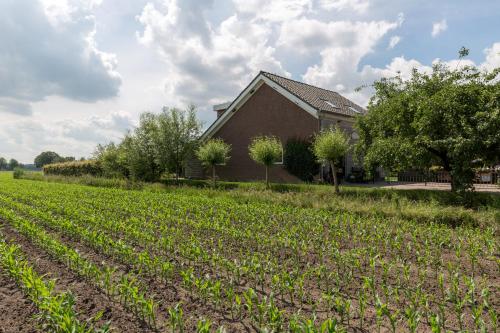  De Nieuwe Warande, Pension in Tilburg