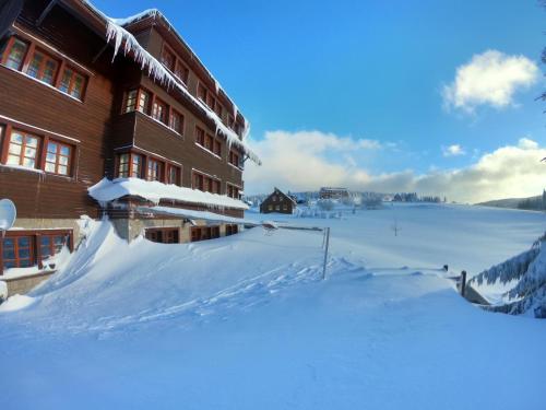 Hotel Oddech - image 2