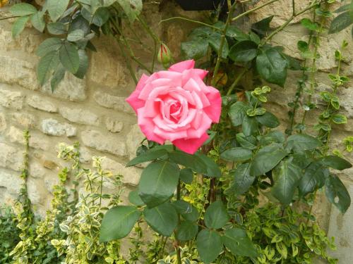 Kings Head Inn – Bledington