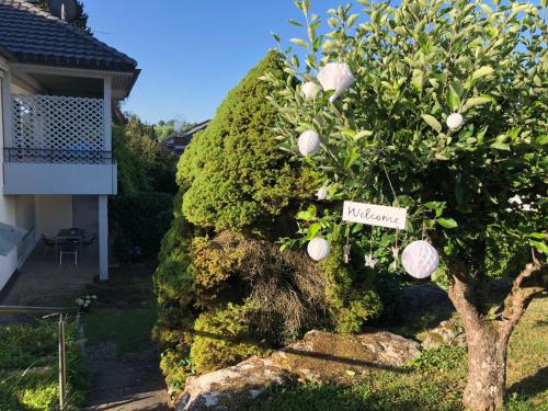 B&B Hilzingen - FeWo Alkapa - Bed and Breakfast Hilzingen