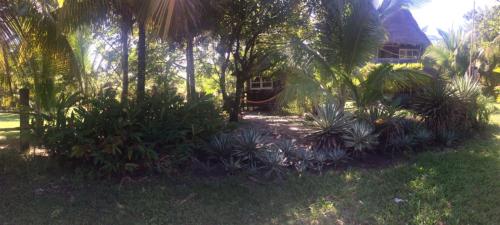 5 Laid back hostels in Livingston, Guatemala
