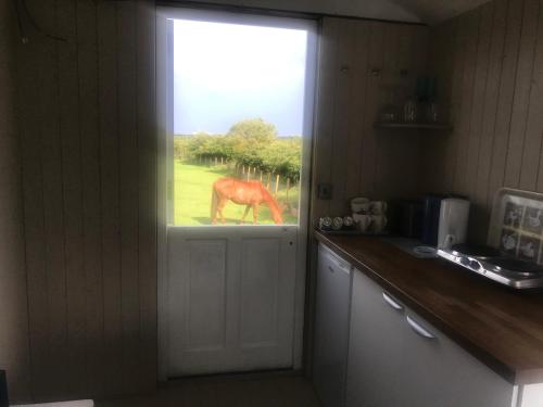 Peaceful Shepherd's Hut next to Horse Field in Hexham