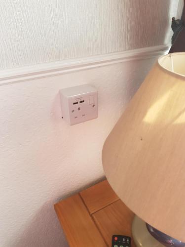 Thornhill Hotel - image 14