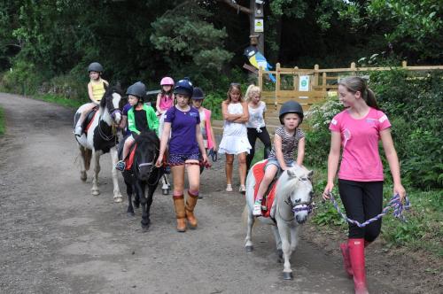 Wellsfield Farm Holiday Lodges