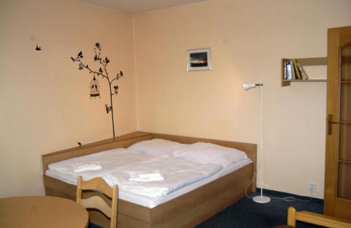 Apartmány Rokytnice