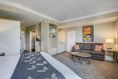 Junior Family Suite