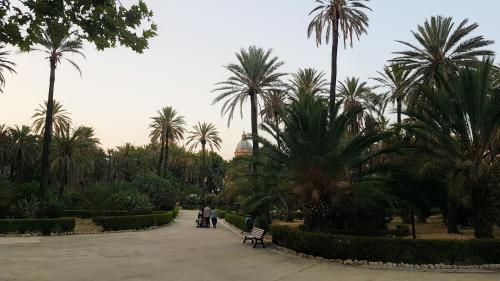Casa Albergheria, Palermo (fotografie 6)