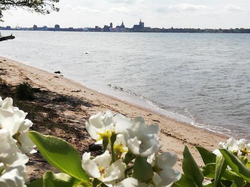 Fewo Rügen Böttger Fewo Rügen Böttger