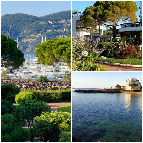 Garden and beach sea view apartment Cannes