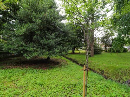 2 Ashby Place - image 14