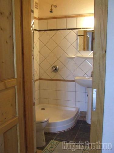 Hungaria Guesthouse - image 6