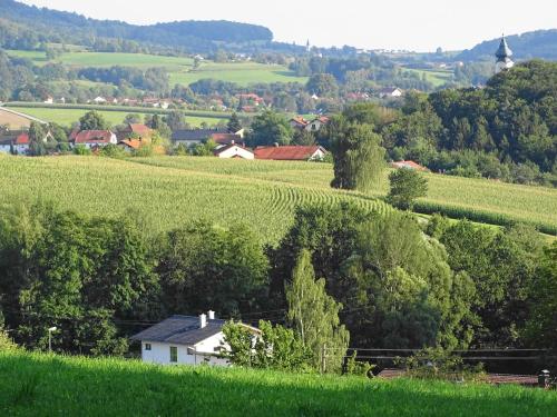Apkārtne, Ferienwohnung Hofstatt in Lalling