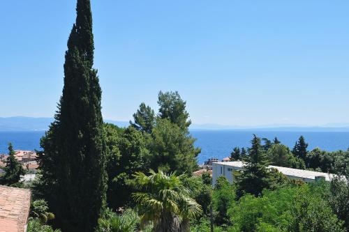 Apt3 - Villa Perla with swimming pool, Lovran - Opatija, Lovran (Laurana) (foto 8)
