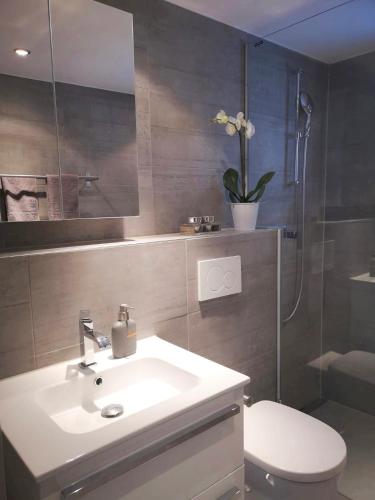 Apartment Cristal, Zermatt (photo 9)