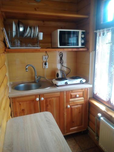 Апарт готель,, Червона Рута,,, Schodnica (zdjęcie 2)