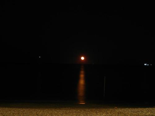 The Beach House - image 7