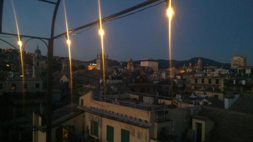 aquarium rooms, Genua (zdjęcie 5)