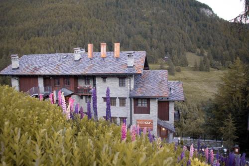 Accommodation in Chamois