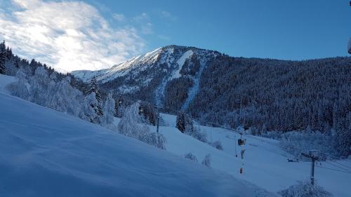 Appartement Le Pic Blanc