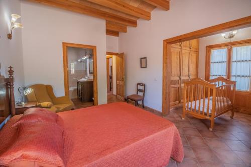 Finca MESTRE - image 9