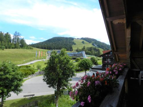 Vistas, Das Edelweiss in Seefeld