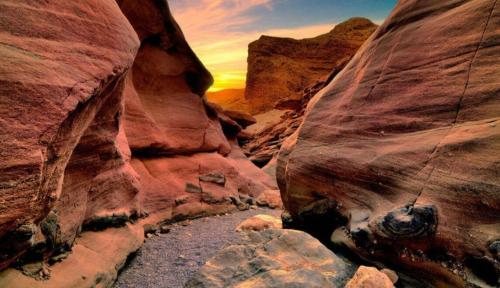 Desert view experience - private villa on the view with a bedouin tent
