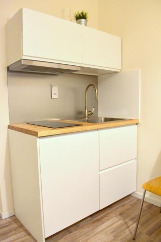 Designer holiday home Vinohrady!, Praha (fotografie 10)