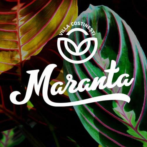 Casa Maranta