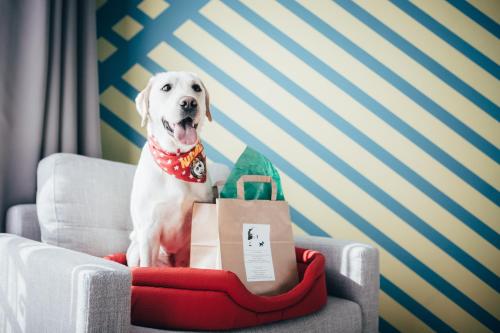 Colors Hotel Athens - image 6