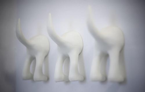 In Den Visser In Den Visser